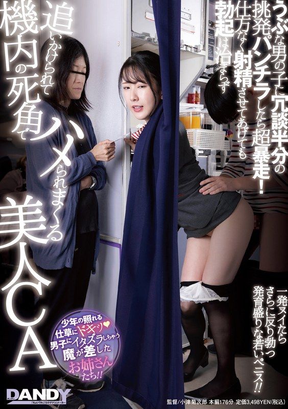 DANDY-968 對天真無邪的男生挑逗半開的褲襠,超暴走!即使強迫射精也無法讓勃起停止,被追逐到機艙死角處,不斷被性騷擾的美麗空姐