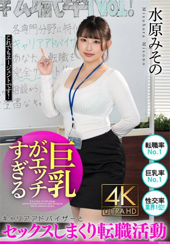 BDST-012 巨乳淫蕩過頭的職業諮詢師與做愛轉職活動 水原美園